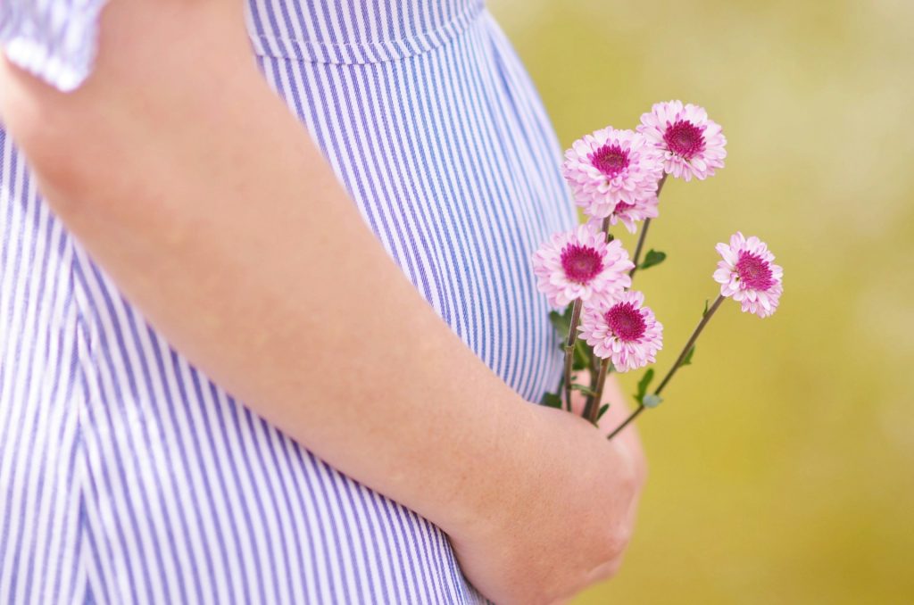 pregnancy support services